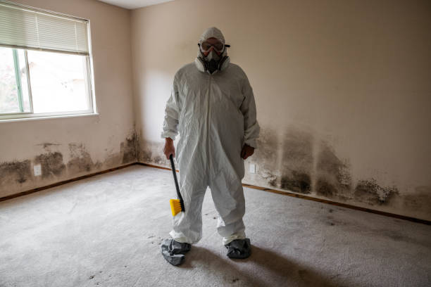 Best Crawl Space Mold Remediation in Bethel Manor, VA